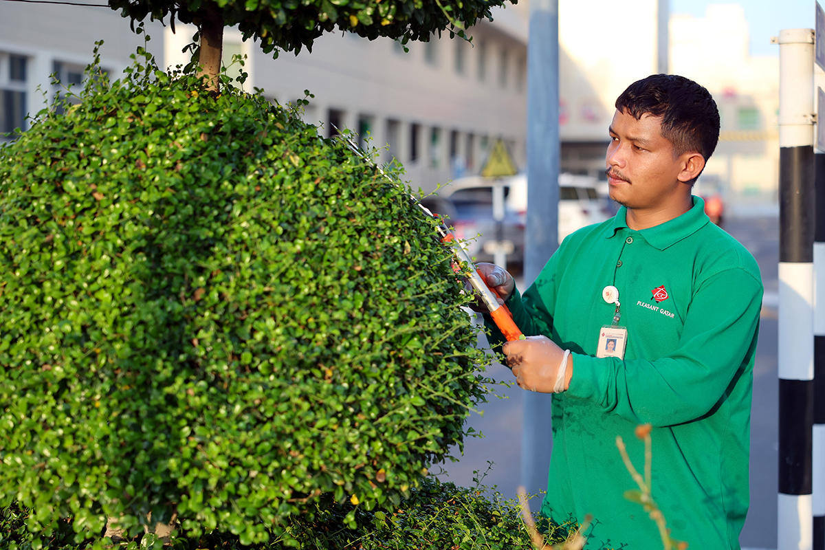 7.4 Soft Services - Landscaping photo 1