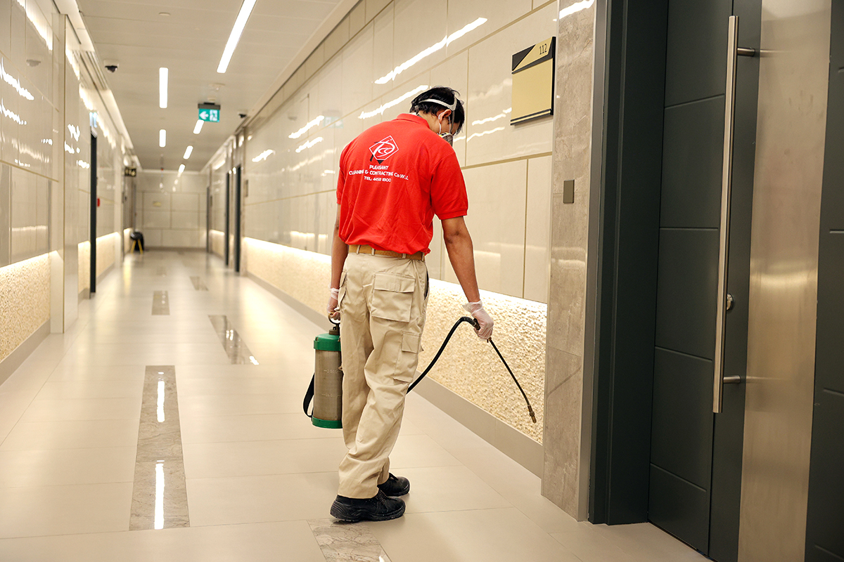 7.5 Soft Services - Pest Control photo 1